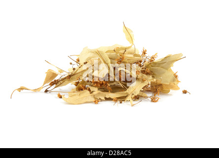 dried linden flowers isolated on white Stock Photo
