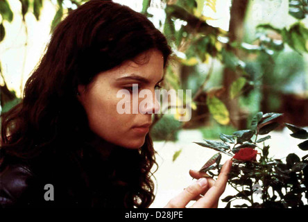 Geh', Wohin Dein Herz Dich Trägt  Va Dove Ti Porta Il Cuore  Valentina Chico Erst nach dem Tod ihrer Groß¸mutter Olga erfährt Stock Photo