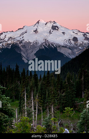 Glacier Peak at sunrise from Buck Creek Pass, Glacier Peak Wilderness, North Cascades, Washington. Stock Photo