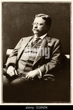 Theodore Roosevelt, half-length portrait, seated, facing left, circa 1906 Stock Photo