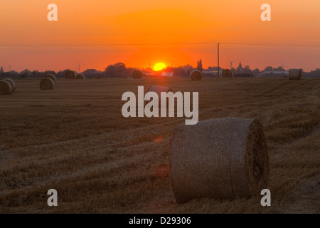 Fenland landscape at sunset. Large round straw bales in a recently harvested wheat field, Cambridgeshire, England. Stock Photo