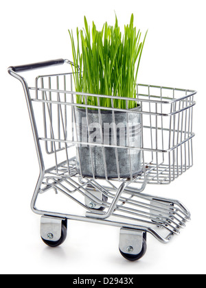 Ecological and green grocery shopping concept - grass growing in a metal tin can, in shopping cart Stock Photo