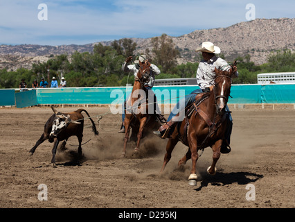 Two cowboys riding at a high school rodeo in the Team Roping event Aguanga, California, United States Stock Photo