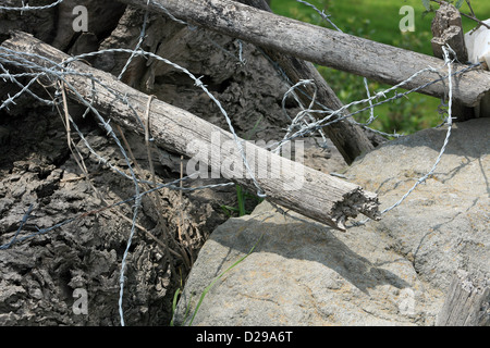 A broken barbed wire fence with wooden fence posts in a field in Cotacachi, Ecuador Stock Photo