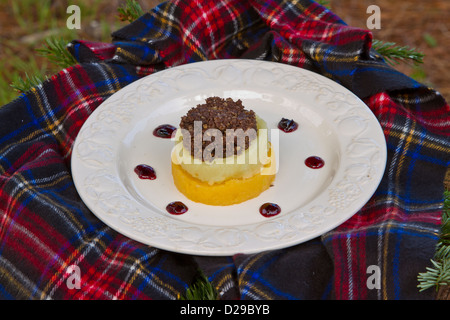 Traditional Scottish Haggis presented in modern way Stock Photo