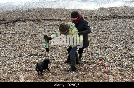 Mother and daughter having fun on a beach with pet dog . One of the ladies gets her feet wet and has to empty her boots Stock Photo