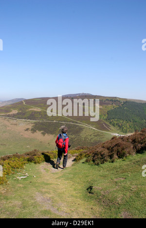 Moel Famau from Offa's Dyke Path Foel Fenlli Clwydian Range Denbighshire Wales UK Stock Photo