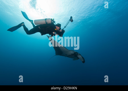 Diver taking a photo of a Giant oceanic manta ray in Archipielgo de Revillagigedo, Mexico, Rocio del Mar, Socorro Islands Stock Photo
