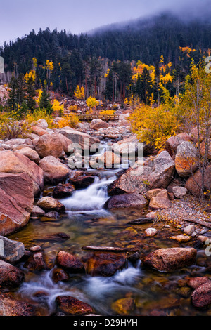 The Aspen trees show off their brilliant Fall color  as the river cuts through the landscape in Rocky Mountain National Park Stock Photo
