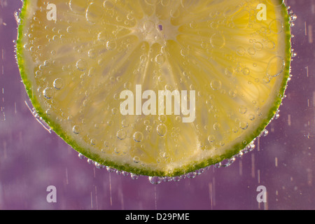 A slice of lime in a glass of sparkling mineral water Stock Photo