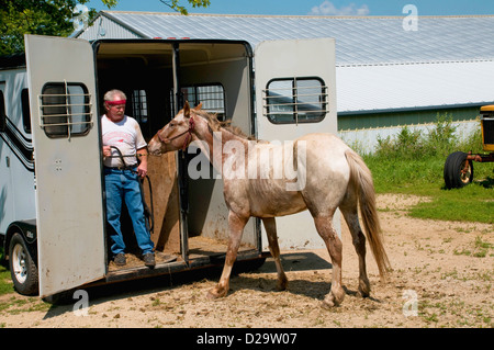 Horse, Horse Trailer And Horse Trainer, Wisconsin Farm Stock Photo