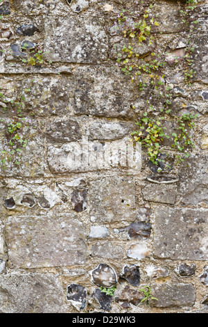 Old stone wall closeup from an ancient medieval castle Stock Photo