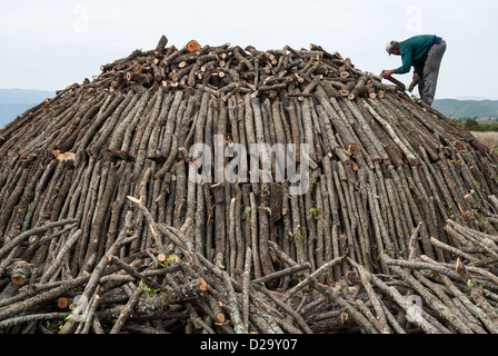 An unidentified man works in charcoal production on October 18, 2008, near Grevena, Greece. Stock Photo