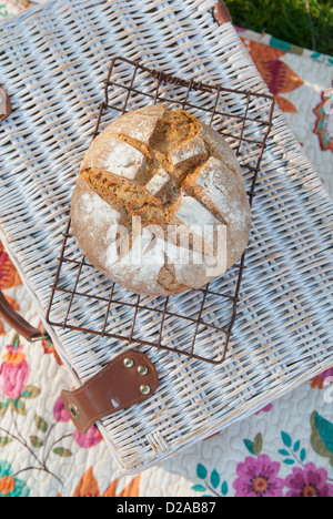 Loaf of bread on wire tray Stock Photo