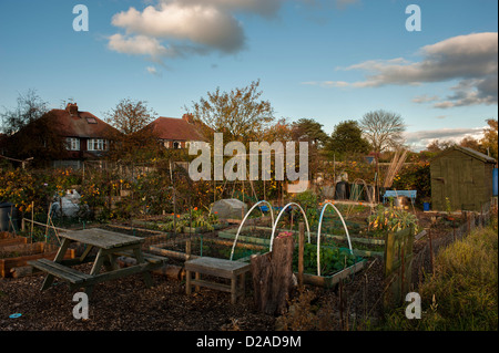 Spring day on a York allotment plot complete with picnic bench. Stock Photo
