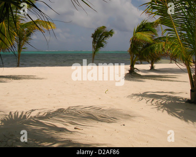 A windy day in the island of San Pedro in Belize Stock Photo