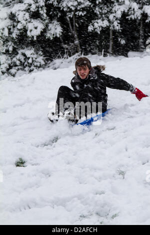 Bristol, UK. 18th Jan, 2013. Sledger on Brandon Hill, Bristol as a band of snow moved across the country. Stock Photo