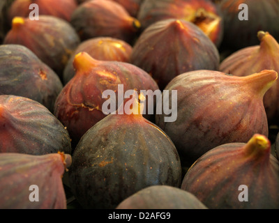 fresh ripe figs displayed on a market stall Stock Photo