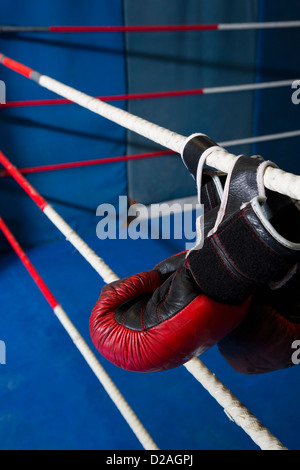 Boxing gloves hanging on ropes of ring Stock Photo