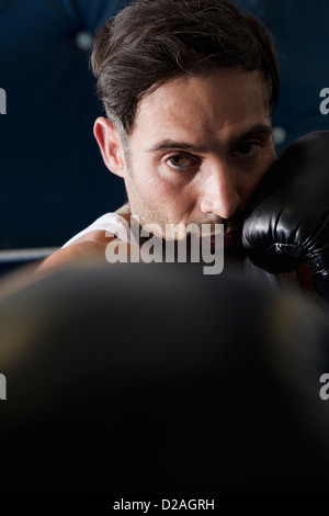 Boxer with raised fists in ring Stock Photo