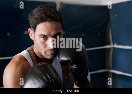 Boxer with raised fists in ring Stock Photo