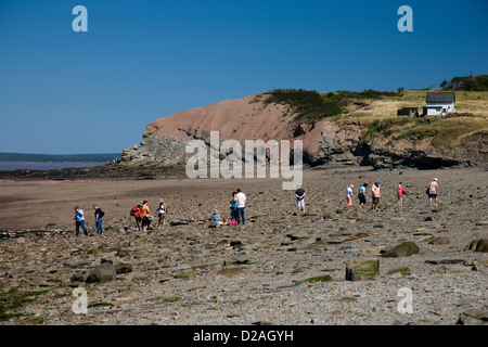 The beach and cliffs at the Joggins fossil cliffs, Nova Scotia, Canada Stock Photo