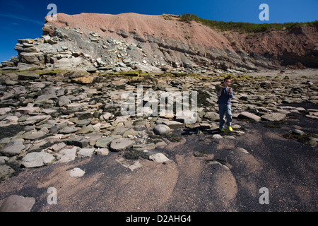 The beach and cliffs at the Joggins fossil cliffs, Nova Scotia, Canada Stock Photo