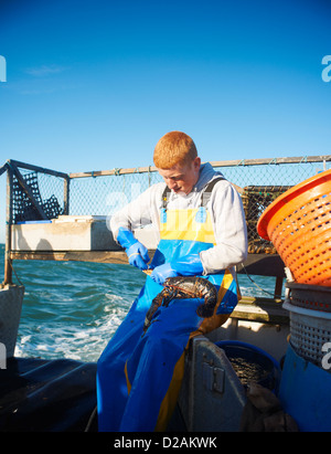 Fisherman holding lobster on boat Stock Photo