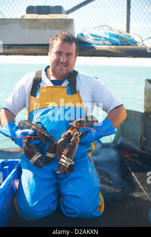 Fisherman holding lobsters on boat Stock Photo