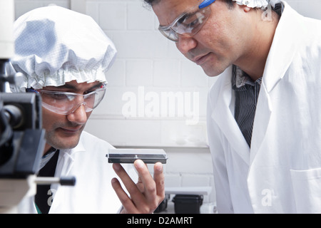 Scientists working in lab Stock Photo