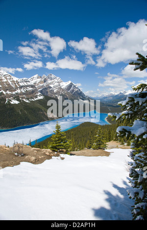 PART FROZEN PEYTO LAKE BANFF NATIONAL PARK ALBERTA CANADA Stock Photo ...