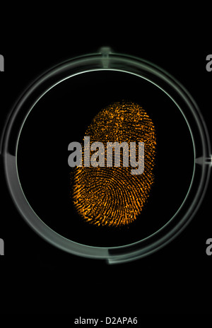 Finger print being identified as a password to access information Stock Photo