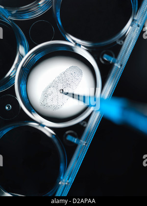 Close up of finger print in forensic lab Stock Photo