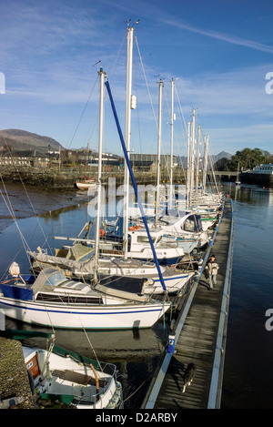 Adult male walks along mooring pontoon with many boats moored up alongside, in Porthmadog harbour,other boats in the background Stock Photo