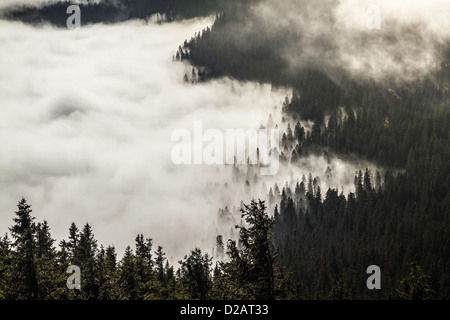 Low clouds over rural landscape Stock Photo