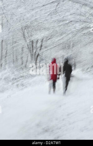 Snow - Reading, Berkshire,  United Kingdom. 18.01.2013   Impression captured  of a snow flurry, with  two people taking  a 'winter wonderland' walk through  the grounds  of Reading University during  January 2013's  heavy snow fall. 12.5cm (5 inches) of snow fell during the day . . Stock Photo