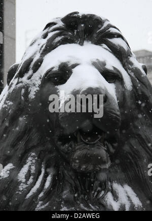 LION STATUE IN THE SNOW GENERAL SNOW VIEWS AROUND LONDON LONDON ENGLAND UK 18 January 2013 Stock Photo