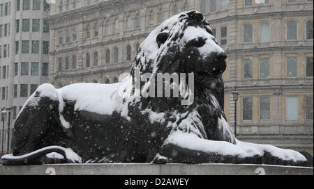 LION STATUE IN THE SNOW GENERAL SNOW VIEWS AROUND LONDON LONDON ENGLAND UK 18 January 2013 Stock Photo