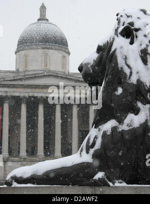 LION STATUE IN THE SNOW & NATIONAL PORTRAIT GALLERY GENERAL SNOW VIEWS AROUND LONDON LONDON ENGLAND UK 18 January 2013 Stock Photo