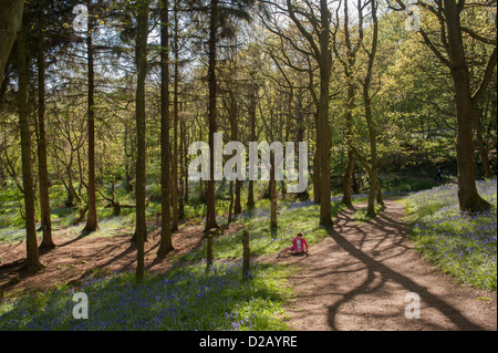 Young girl sitting happily alone on sunlit path running through woodland carpeted with spring bluebells - Middleton Woods, Ilkley, West Yorkshire, UK Stock Photo