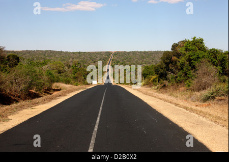 Zombitse Vohibasia National Park. The Road Between Ranohira and Toliara, Madagascar, Africa. The Major Road in South Madagascar. Stock Photo