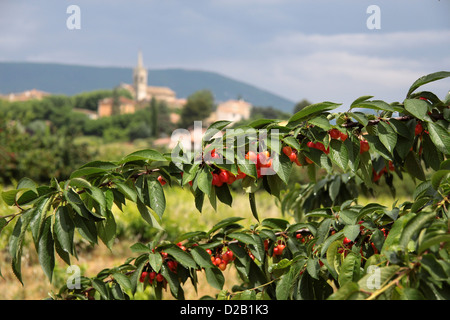 The village of Villars in Provence in southern France Stock Photo