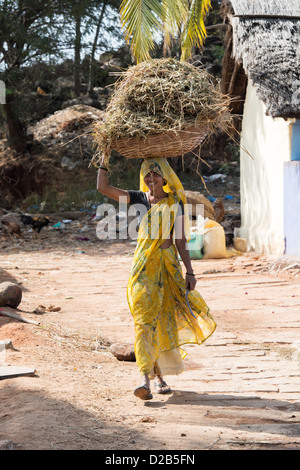 Rural indian village woman carrying cut vegetation for cattle fodder in a basket on her head. Andhra Pradesh, India Stock Photo