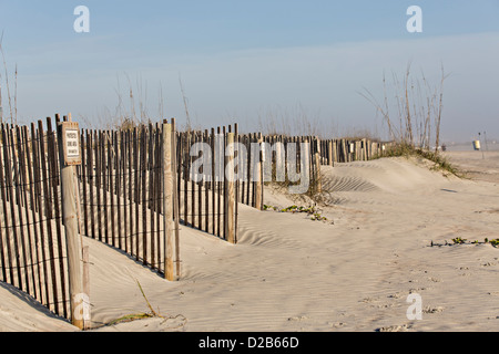 Sand fence to rebuild the dunes on St Augustine Beach, Florida. Stock Photo