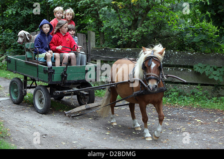 Pomerania, Germany, children get a carriage ride Stock Photo
