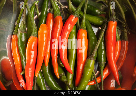 Thai hot peppers Stock Photo