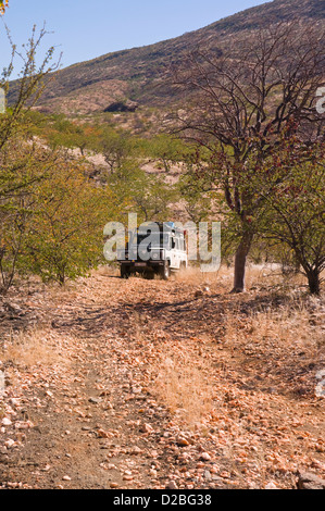 Landrover on safari in Namibia Africa Stock Photo