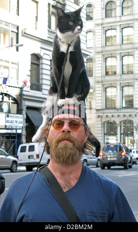 New York City Fifth Avenue and 20th Street. Portrait of a man walking with a cat on his head. Stock Photo