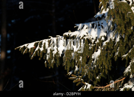 Winter in Europe Stock Photo