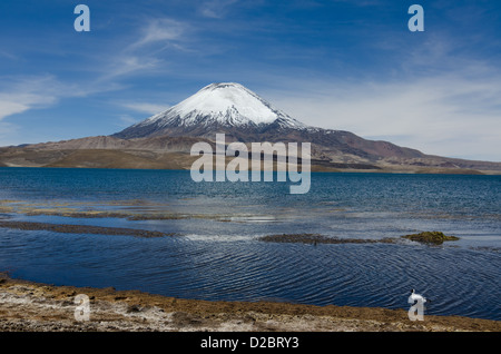 Parinacota Volcano in Lauca National Park, Chile Stock Photo